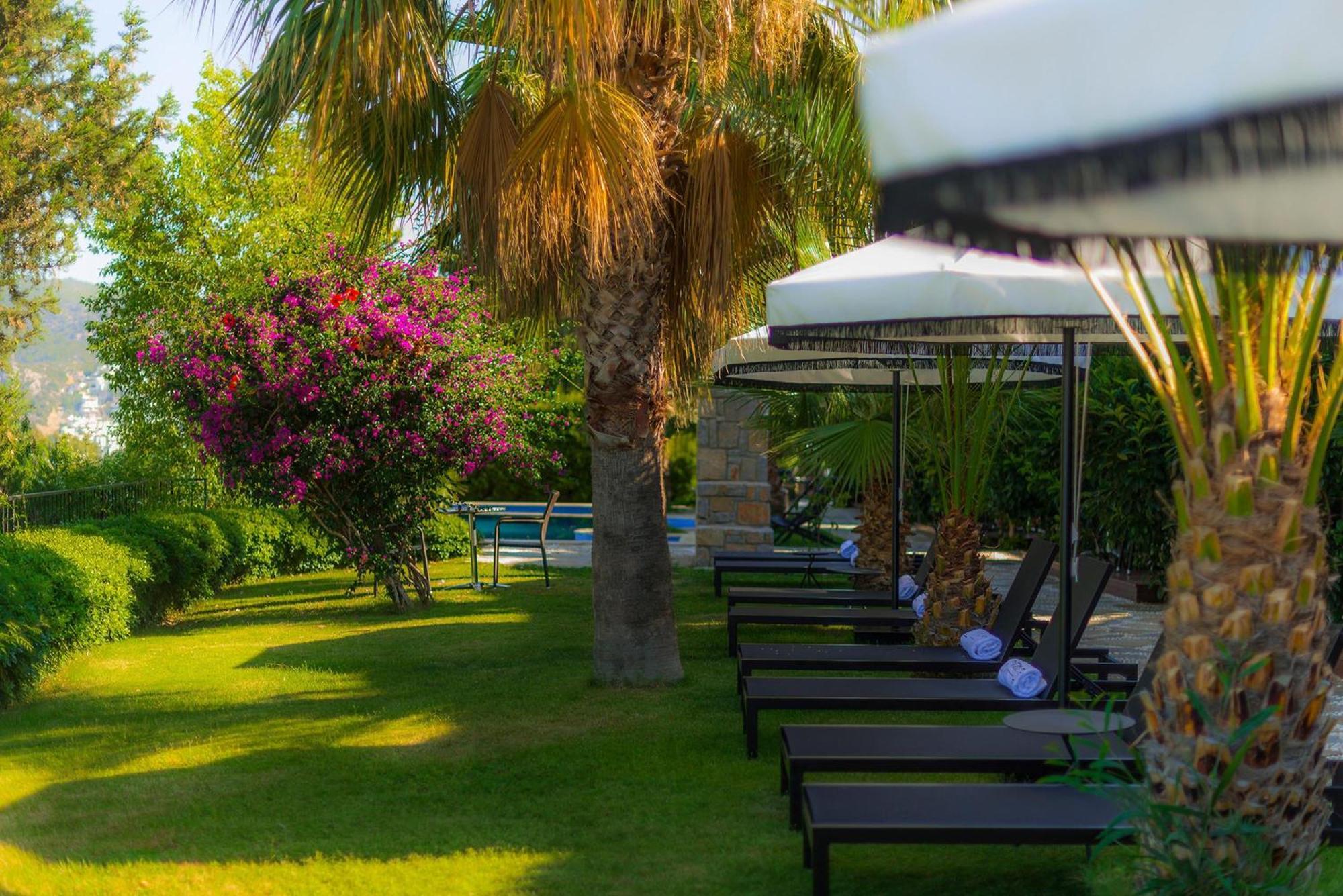 Manastir Hotel & Suites Αλικαρνασσός Εξωτερικό φωτογραφία
